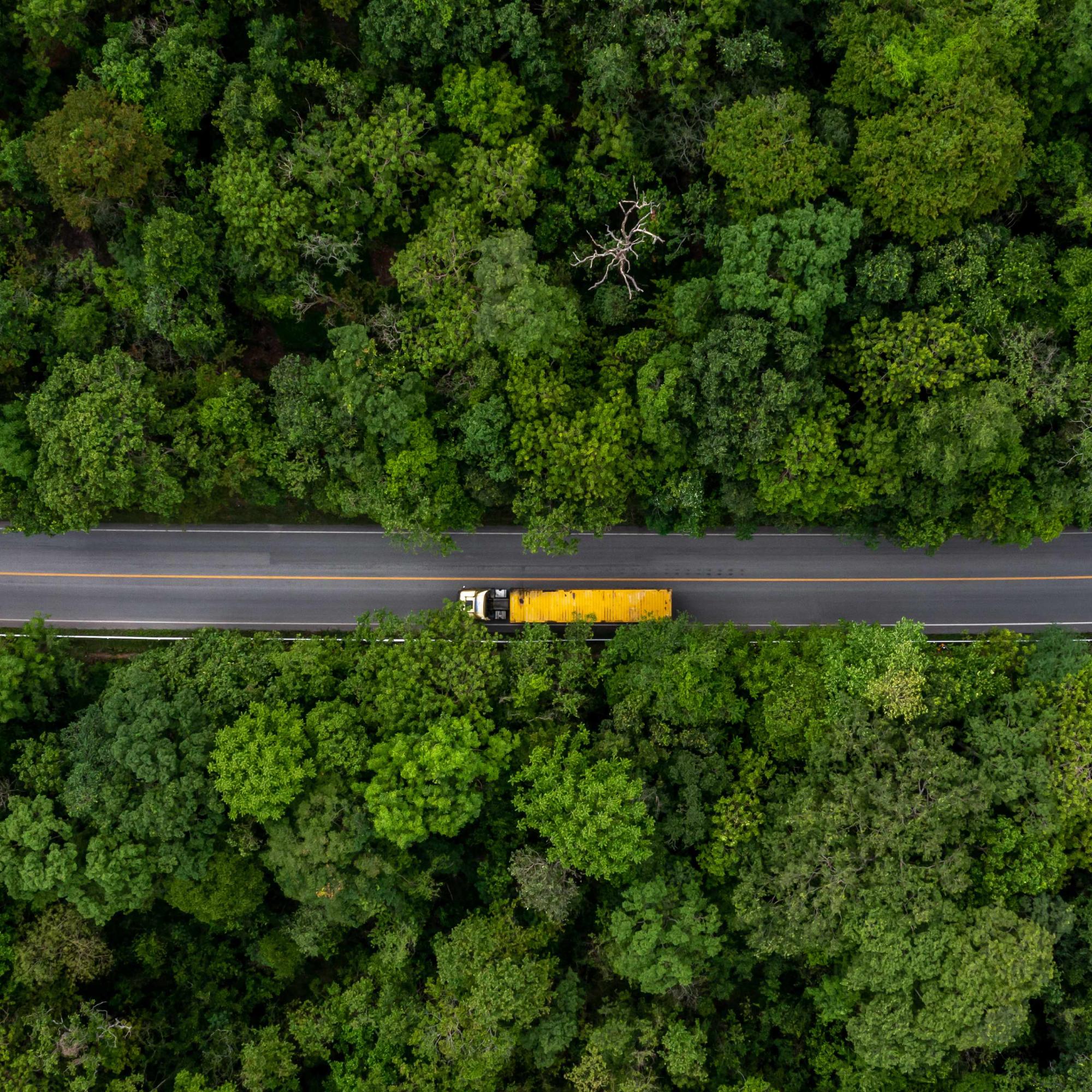 Aerial top view large freight transporter semi truck on the highway road, Truck driving on asphalt road green forest, Cargo semi trailer moving on road.